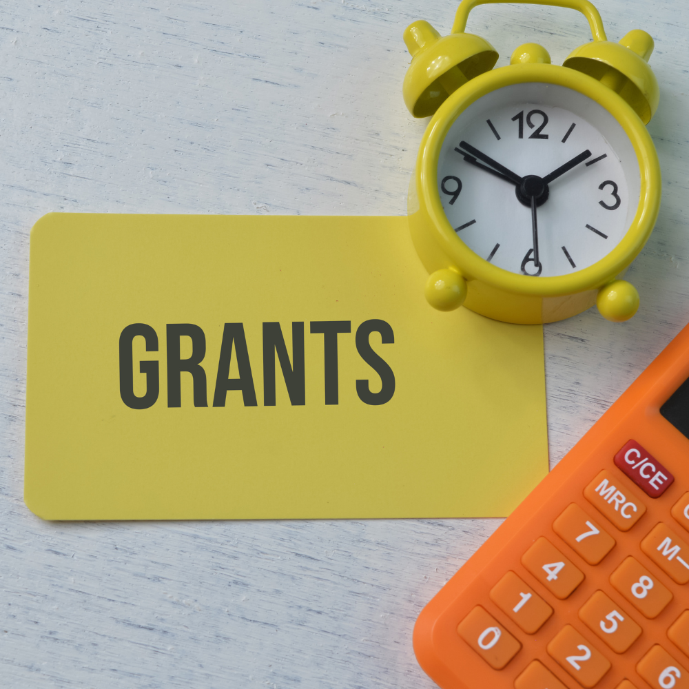 Government Grants and Incentives